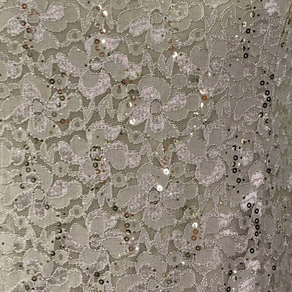 SLNY SL Fashions 2-Pc. Champagne Lace Jacket & Midi Dress Set, NWT! Size 20W - Picture 6 of 10